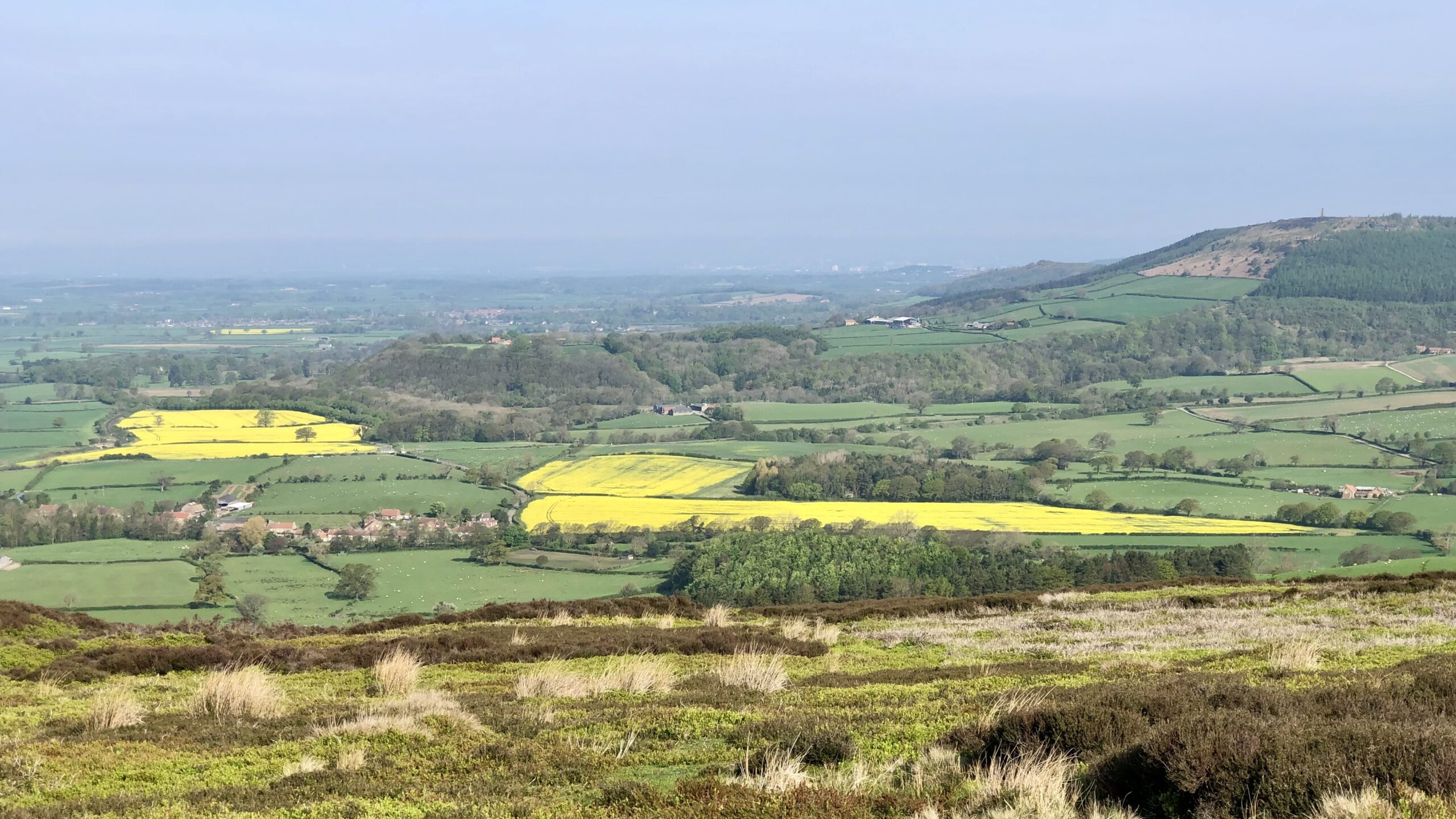 Rapeseed Transforms the Vale of Cleveland