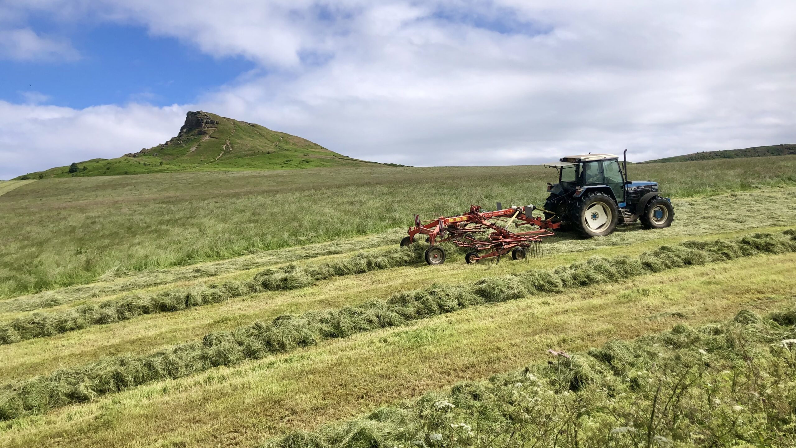 Making Hay While the Sun Shines