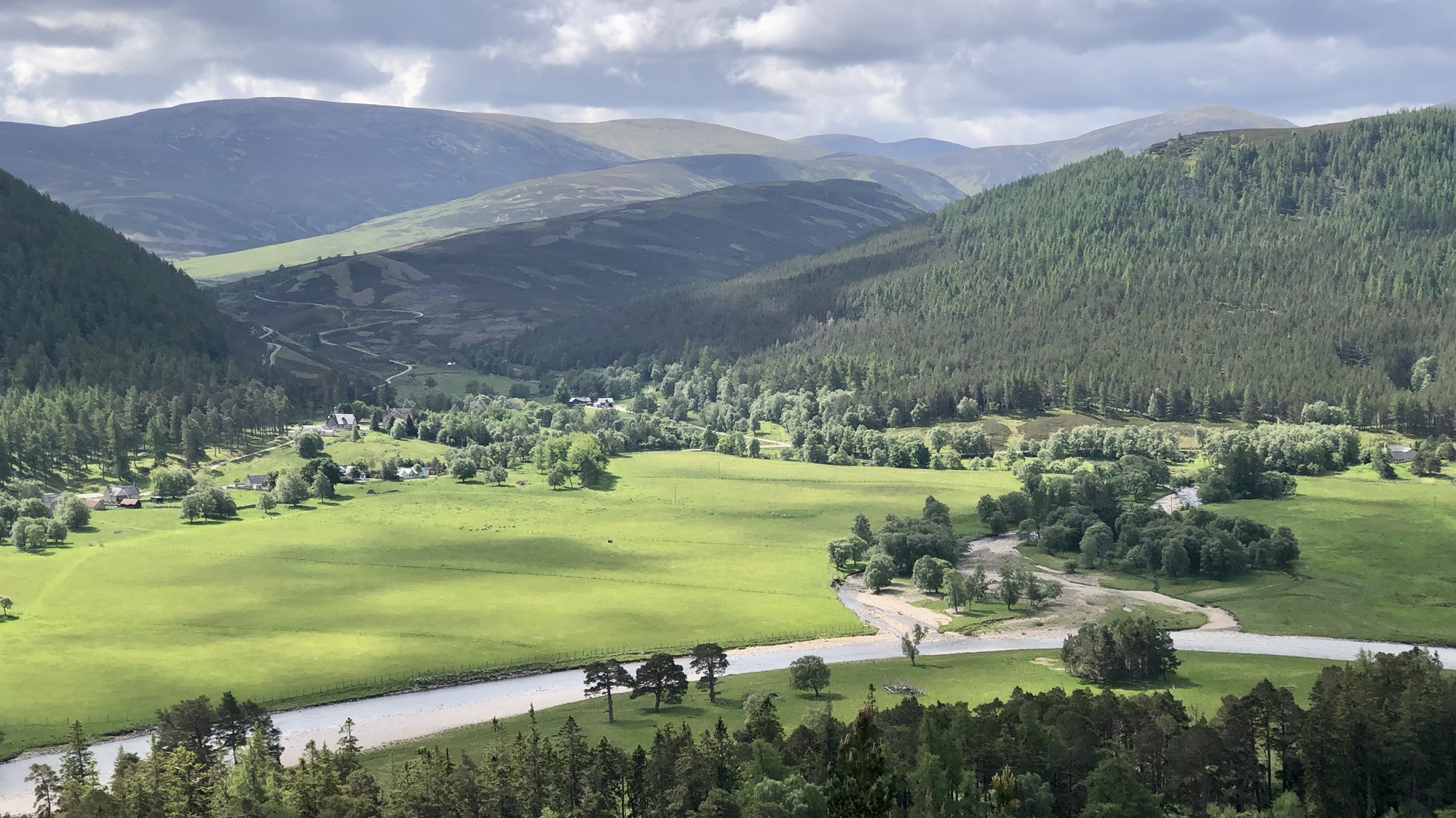 Rebirth of the Caledonian Pines—A Day on the Mar Estate