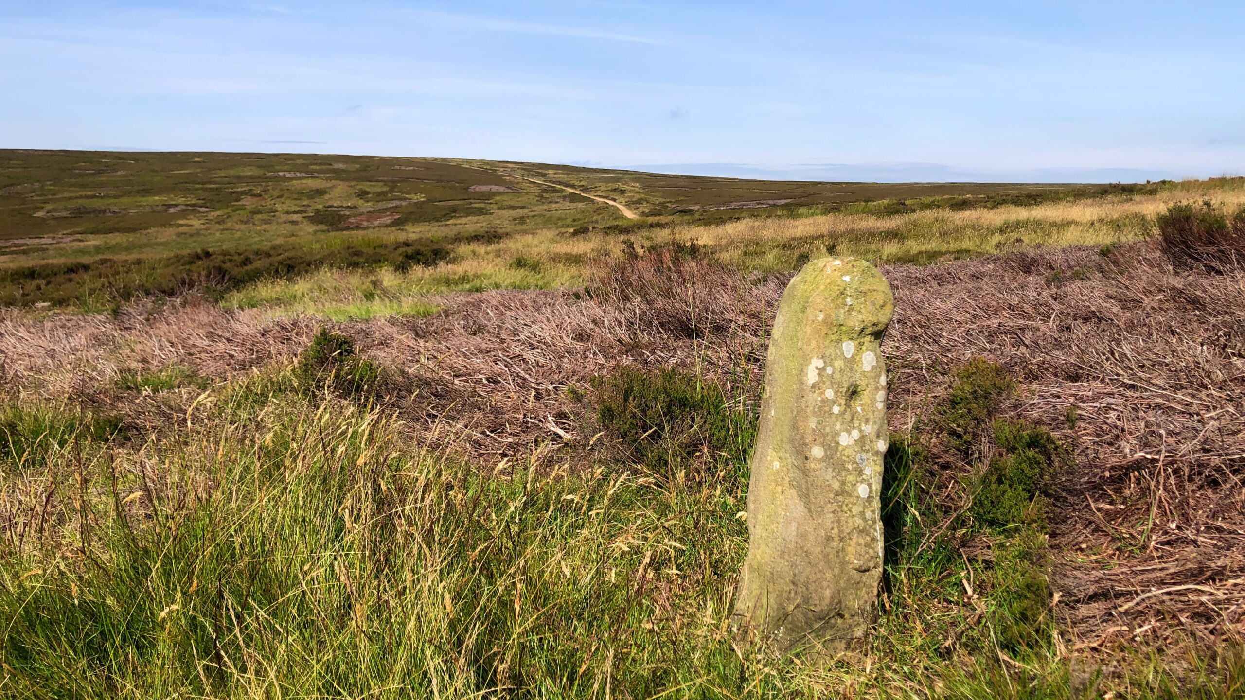 From Battersby to Farndale: A Stone that Guides the Way